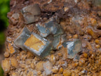 Natural Cubic Fluorite Specimens with Sprays of Acicular Quartz x 5 From Khorixas, Namibia