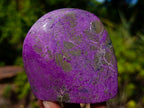 Polished Stichtite Standing Display Pieces x 12 From Barberton, South Africa