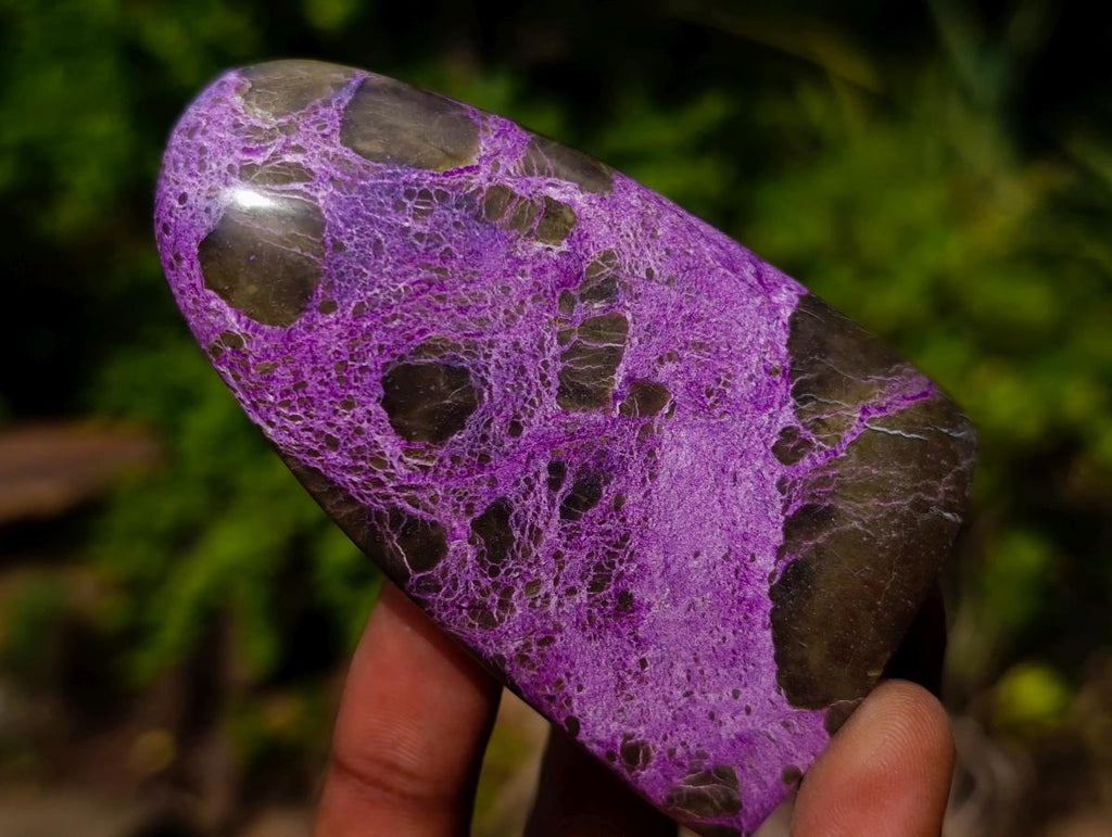 Polished Stichtite Standing Display Pieces x 12 From Barberton, South Africa