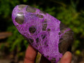 Polished Stichtite Standing Display Pieces x 12 From Barberton, South Africa