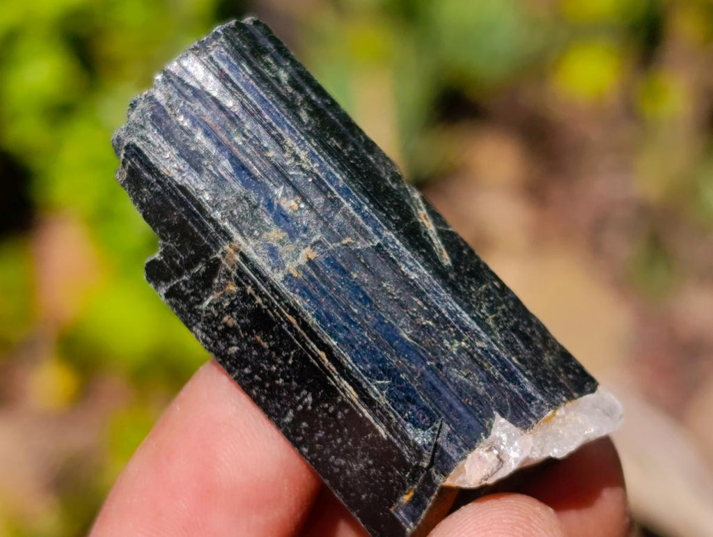 Natural Aegirine Bag of 1,28 Kg Lot  Single Crystals From Zomba, Malawi