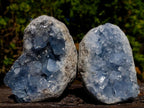 Natural Blue Celestite Specimens x 3 From Sakoany, Madagascar - Toprock Gemstones and Minerals 
