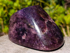 Polished Lepidolite Free Forms x 4 From Zimbabwe - Toprock Gemstones and Minerals 