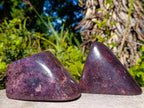 Polished Lepidolite Free Forms x 4 From Zimbabwe - Toprock Gemstones and Minerals 