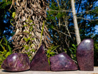 Polished Lepidolite Free Forms x 4 From Zimbabwe - Toprock Gemstones and Minerals 