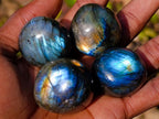 Polished Rounded Labradorite Free Forms x 35 From Madagascar - Toprock Gemstones and Minerals 