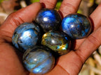 Polished Rounded Labradorite Free Forms x 35 From Madagascar - Toprock Gemstones and Minerals 