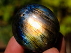 Polished Rounded Labradorite Free Forms x 35 From Madagascar - Toprock Gemstones and Minerals 