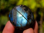 Polished Rounded Labradorite Free Forms x 35 From Madagascar - Toprock Gemstones and Minerals 