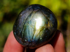 Polished Rounded Labradorite Free Forms x 35 From Madagascar - Toprock Gemstones and Minerals 