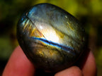 Polished Rounded Labradorite Free Forms x 35 From Madagascar - Toprock Gemstones and Minerals 