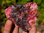 Natural Cobbed Rhodonite Specimens x 27 From Rhusinga, Zimbabwe - Toprock Gemstones and Minerals 