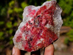 Natural Cobbed Rhodonite Specimens x 27 From Rhusinga, Zimbabwe - Toprock Gemstones and Minerals 