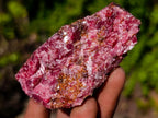 Natural Cobbed Rhodonite Specimens x 27 From Rhusinga, Zimbabwe - Toprock Gemstones and Minerals 