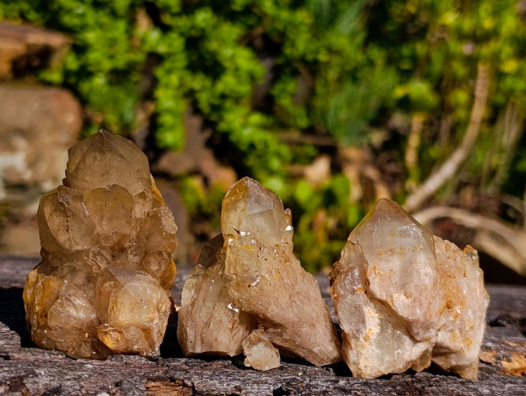Natural Cascading White Phantom Smokey Luena and Smokey Citrine Quartz Crystals and Clusters x 35 From Luena, Congo - Toprock Gemstones and Minerals 