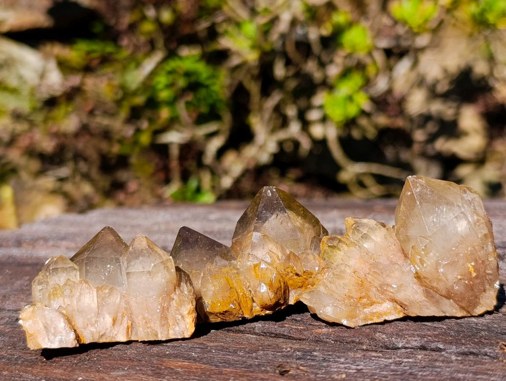 Natural Cascading White Phantom Smokey Luena and Smokey Citrine Quartz Crystals and Clusters x 35 From Luena, Congo - Toprock Gemstones and Minerals 