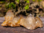 Natural Cascading White Phantom Smokey Luena and Smokey Citrine Quartz Crystals and Clusters x 35 From Luena, Congo - Toprock Gemstones and Minerals 
