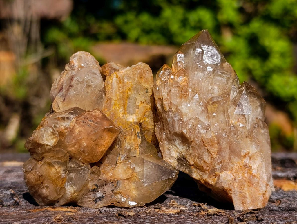 Natural Cascading White Phantom Smokey Luena and Smokey Citrine Quartz Crystals and Clusters x 35 From Luena, Congo - Toprock Gemstones and Minerals 