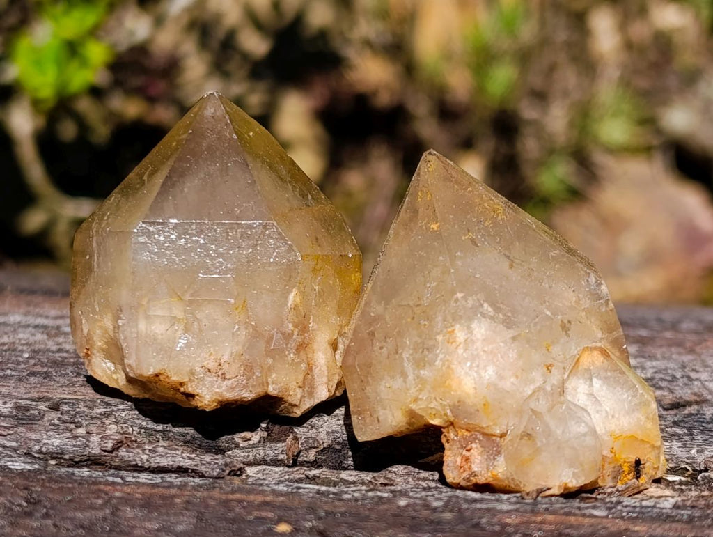 Natural Cascading White Phantom Smokey Luena and Smokey Citrine Quartz Crystals and Clusters x 35 From Luena, Congo - Toprock Gemstones and Minerals 