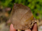 Natural Cascading White Phantom Smokey Luena and Smokey Citrine Quartz Crystals and Clusters x 35 From Luena, Congo - Toprock Gemstones and Minerals 