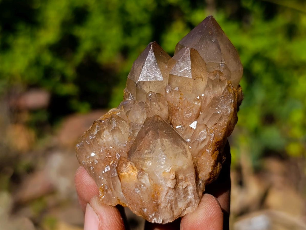 Natural Cascading White Phantom Smokey Luena and Smokey Citrine Quartz Crystals and Clusters x 35 From Luena, Congo - Toprock Gemstones and Minerals 