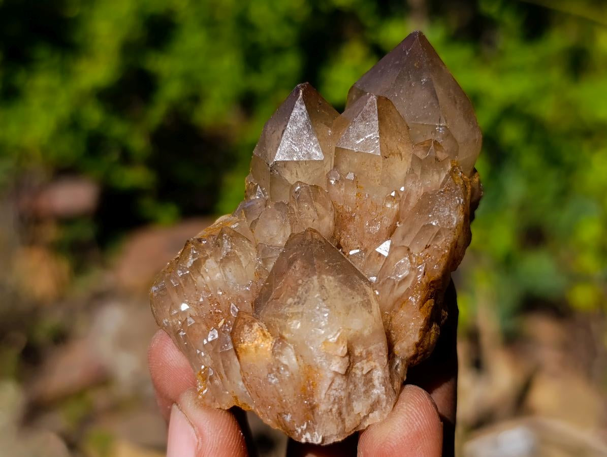 Natural Cascading White Phantom Smokey Luena and Smokey Citrine Quartz Crystals and Clusters x 35 From Luena, Congo - Toprock Gemstones and Minerals 