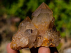 Natural Cascading White Phantom Smokey Luena and Smokey Citrine Quartz Crystals and Clusters x 35 From Luena, Congo - Toprock Gemstones and Minerals 