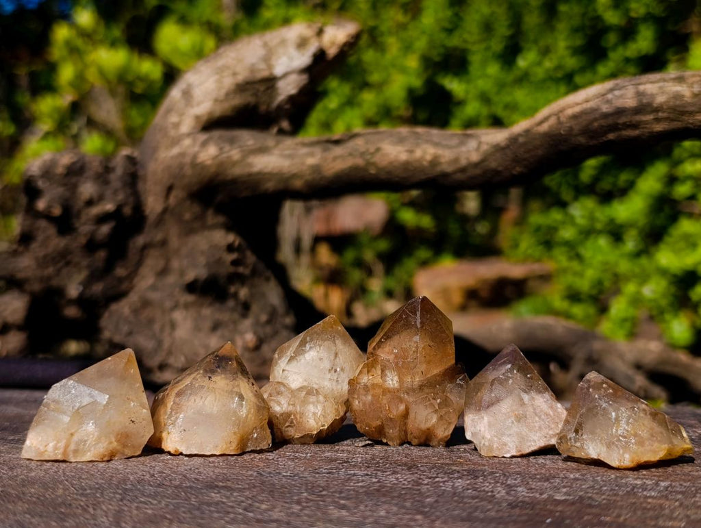 Natural Cascading White Phantom Smokey Luena and Smokey Citrine Quartz Crystals and Clusters x 35 From Luena, Congo - Toprock Gemstones and Minerals 