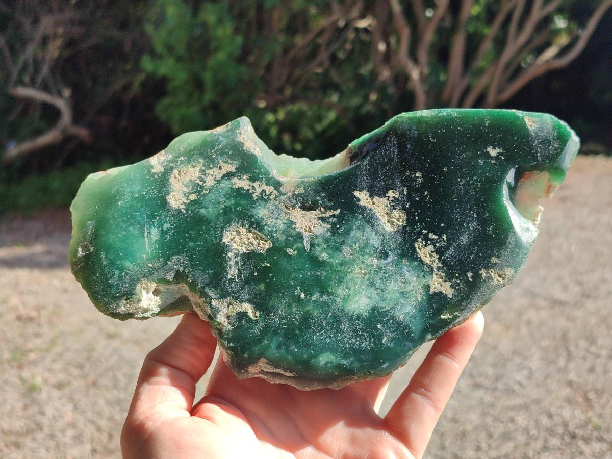 Polished One Side Mtorolite Chrysoprase Slices x 2 From Mutorashanga, Zimbabwe
