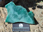 Polished One Side Mtorolite Chrysoprase Slices x 2 From Mutorashanga, Zimbabwe