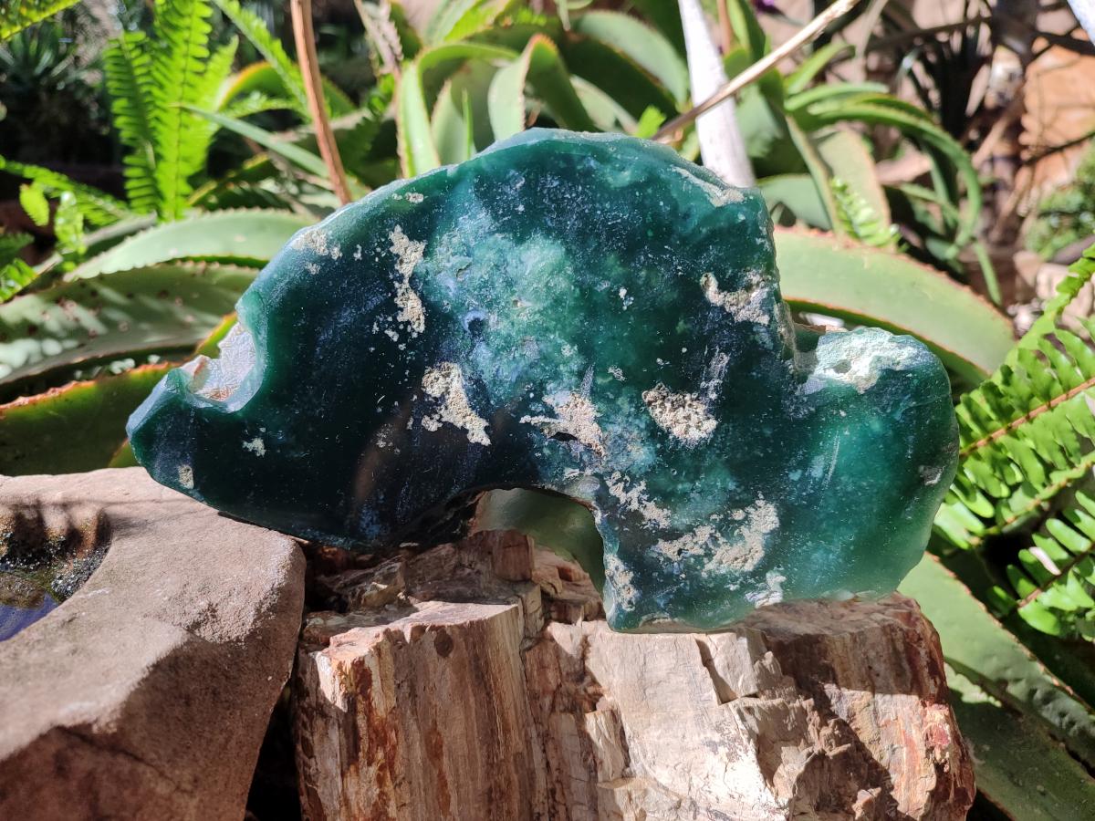 Polished One Side Mtorolite Chrysoprase Slices x 2 From Mutorashanga, Zimbabwe