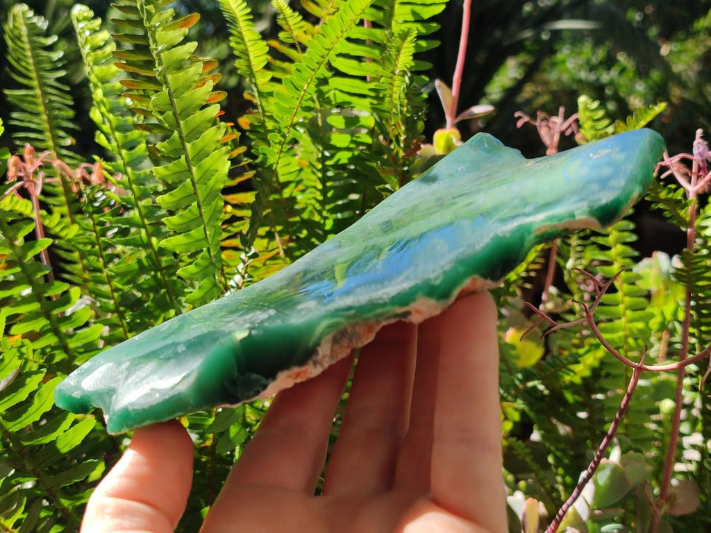 Polished One Side Mtorolite Chrysoprase Slices x 2 From Mutorashanga, Zimbabwe