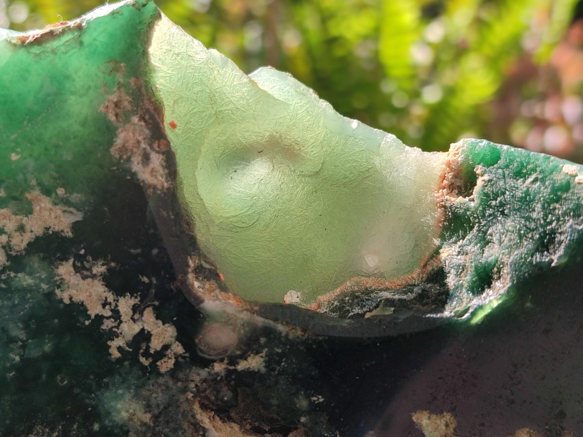 Polished One Side Mtorolite Chrysoprase Slices x 2 From Mutorashanga, Zimbabwe