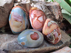 Polished One Side Polychrome Jasper Nodules x 4 From Androka, Madagascar