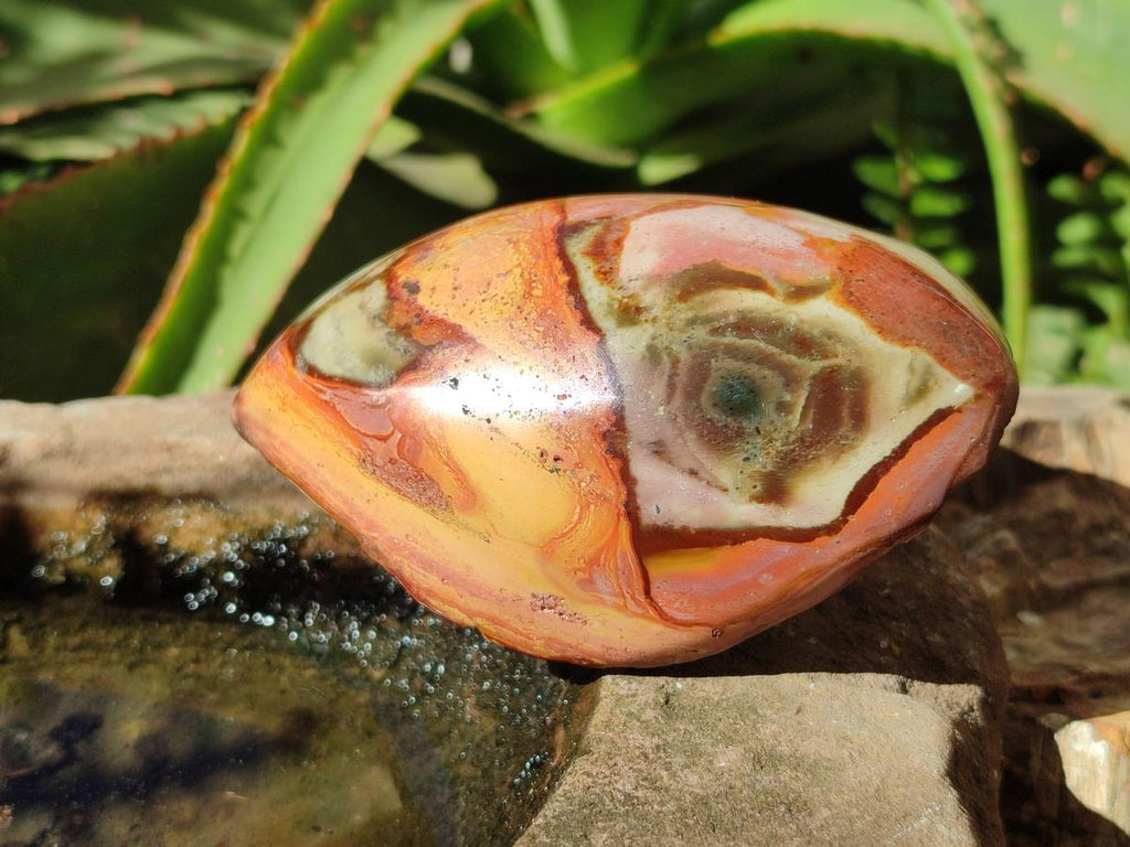 Polished One Side Polychrome Jasper Nodules x 4 From Androka, Madagascar