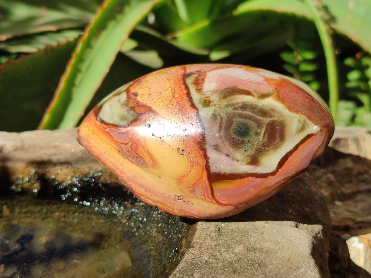 Polished One Side Polychrome Jasper Nodules x 4 From Androka, Madagascar