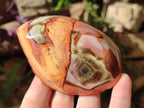 Polished One Side Polychrome Jasper Nodules x 4 From Androka, Madagascar