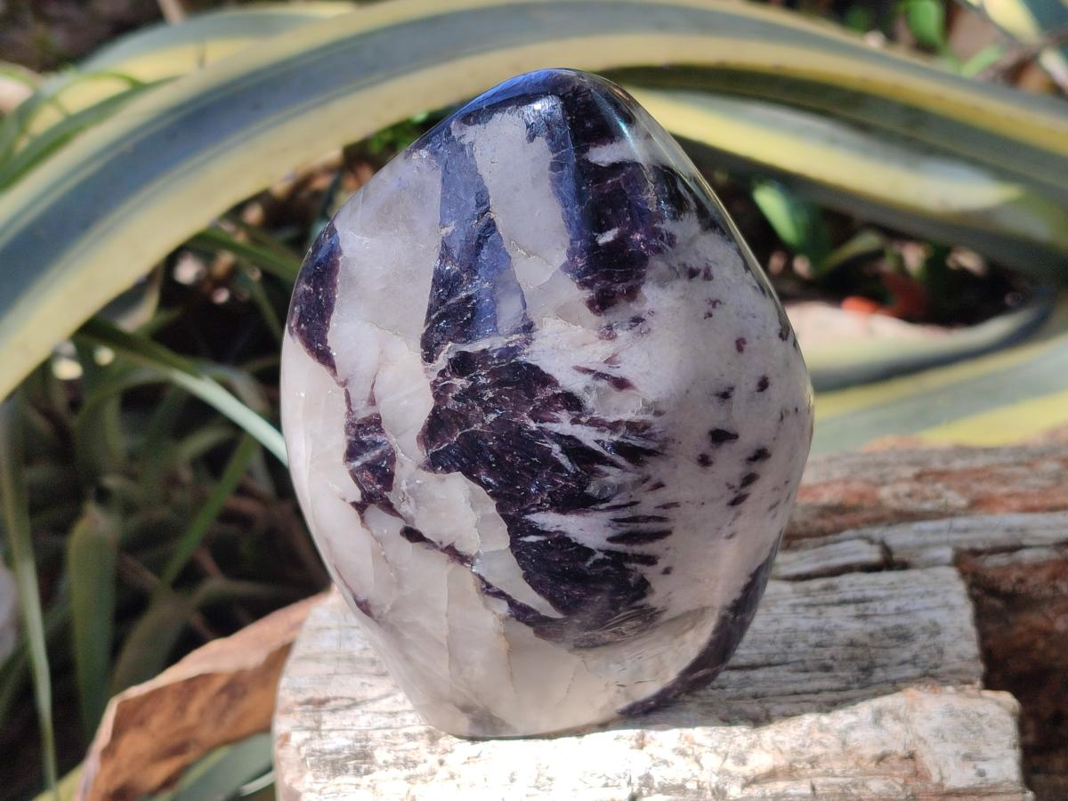 Polished Silver Leaf Lepidolite Standing Display Pieces x 3 From Zimbabwe
