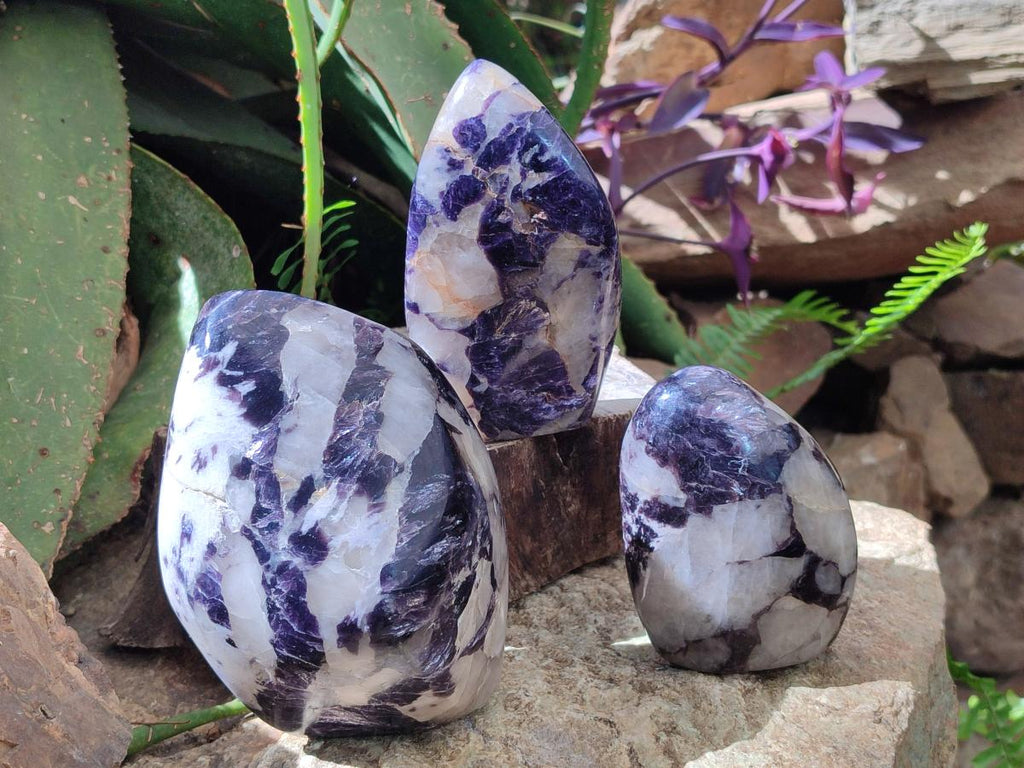 Polished Silver Leaf Lepidolite Standing Display Pieces x 3 From Zimbabwe