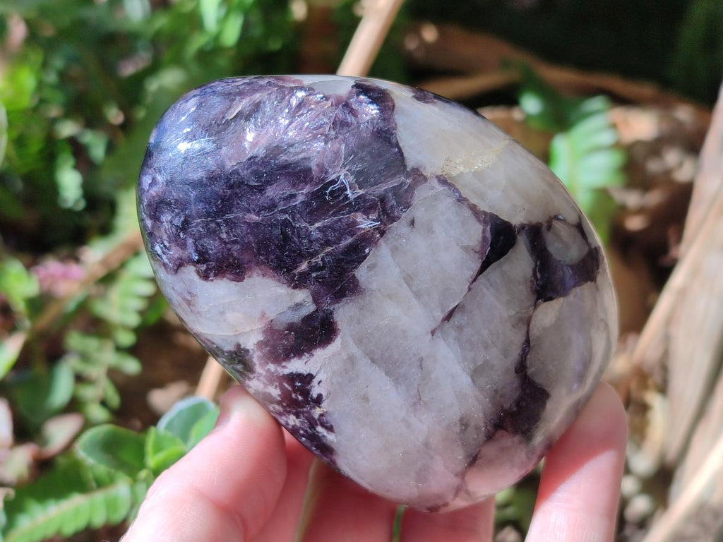 Polished Silver Leaf Lepidolite Standing Display Pieces x 3 From Zimbabwe
