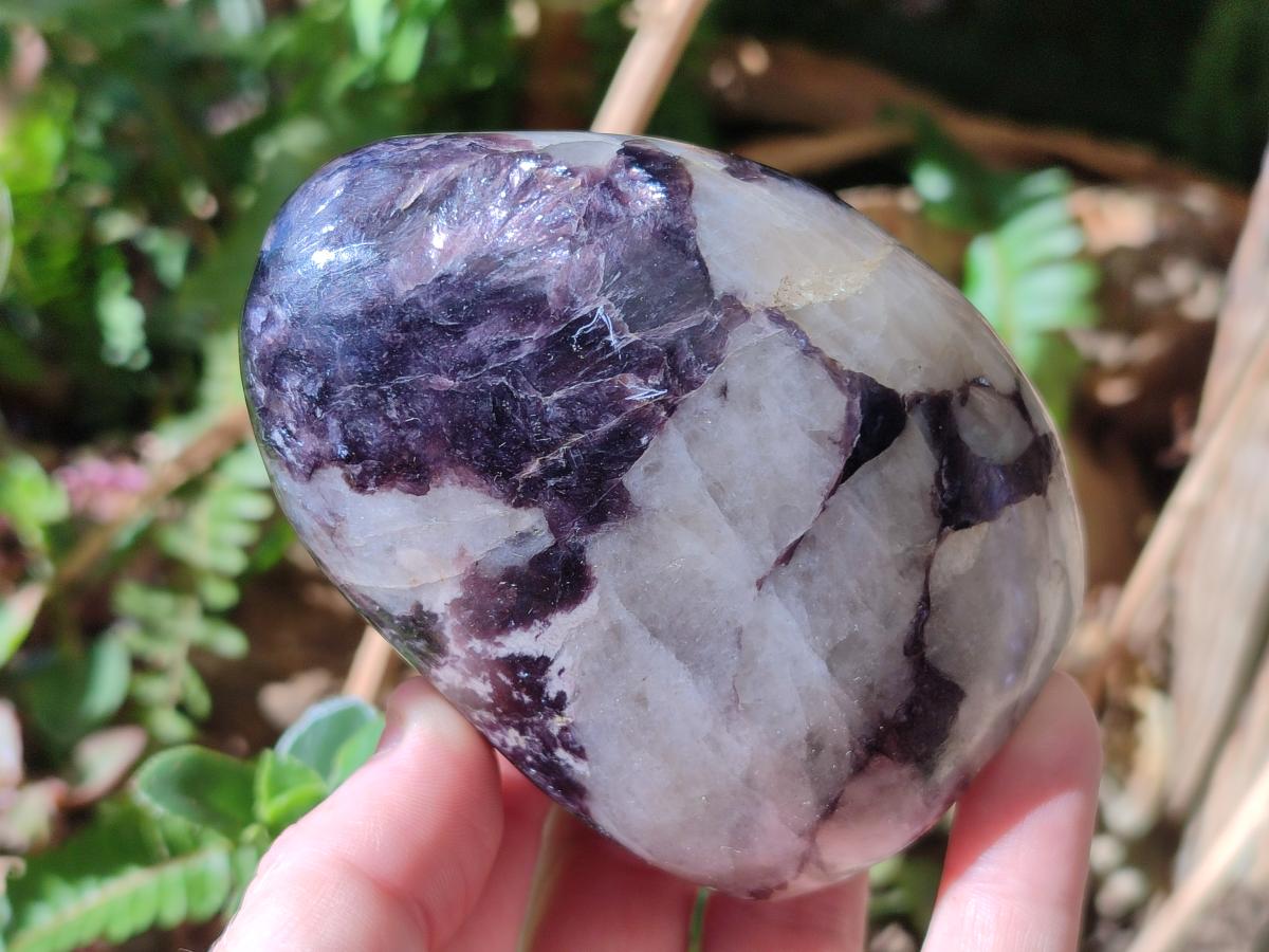 Polished Silver Leaf Lepidolite Standing Display Pieces x 3 From Zimbabwe