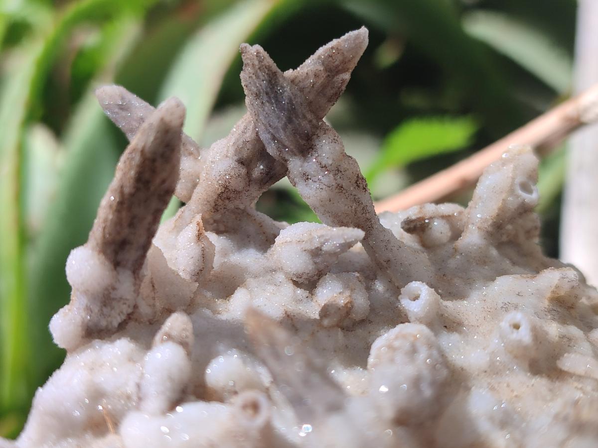 Natural Spearhead Calcite Clusters with Phosphorous Aragonite x 4 From Albert's Mountain, Lesotho