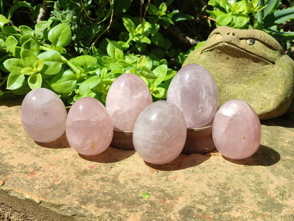 Polished Gemmy Rose Quartz Eggs x 6 From Madagascar