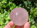 Polished Gemmy Rose Quartz Eggs x 6 From Madagascar