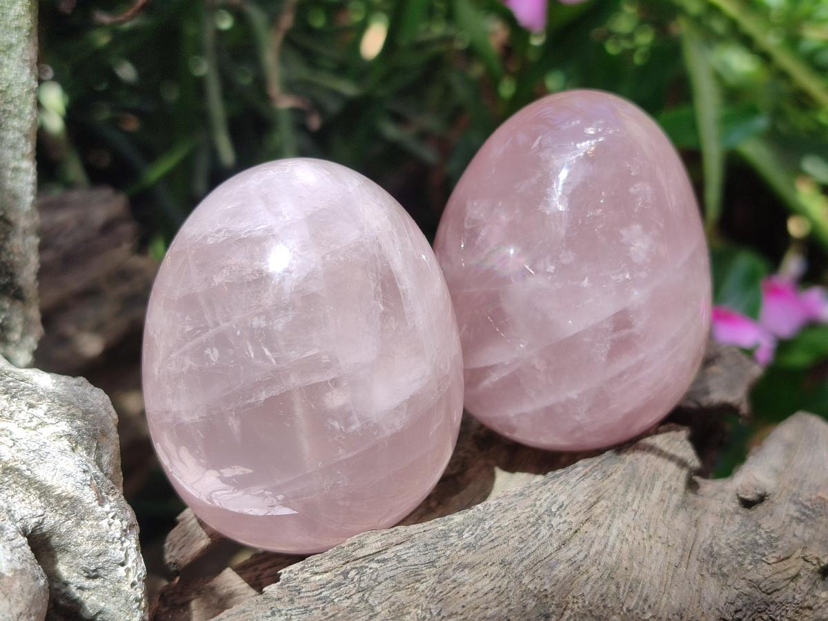 Polished Gemmy Rose Quartz Eggs x 6 From Madagascar