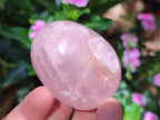 Polished Gemmy Rose Quartz Eggs x 6 From Madagascar