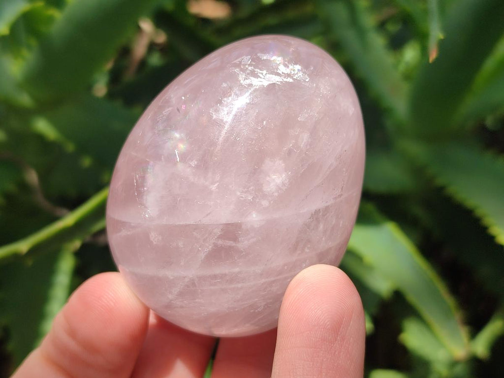 Polished Gemmy Rose Quartz Eggs x 6 From Madagascar