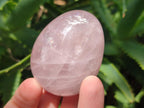 Polished Gemmy Rose Quartz Eggs x 6 From Madagascar