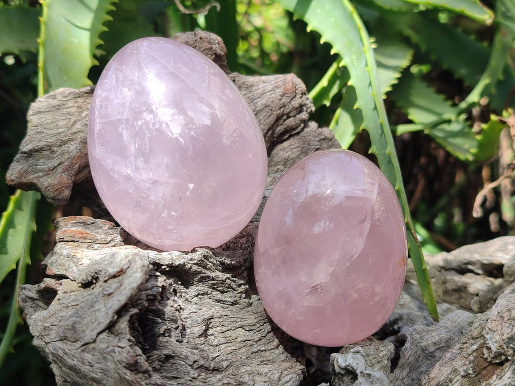 Polished Gemmy Rose Quartz Eggs x 6 From Madagascar