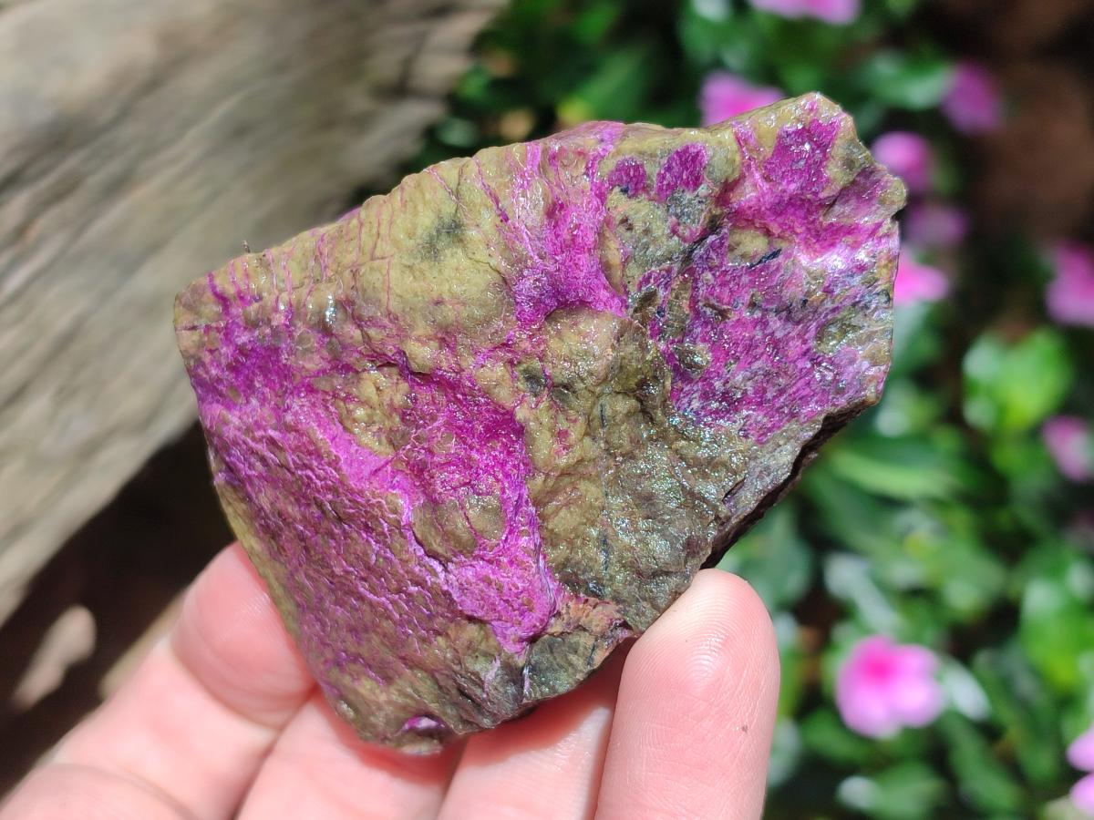 Natural Cobbed Stichtite Specimens x 24 From Barberton, South Africa